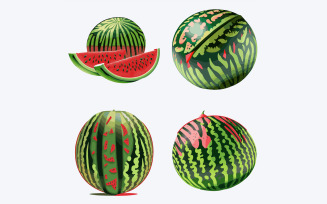 Set of watermelons isolated on white background. Vector illustration.