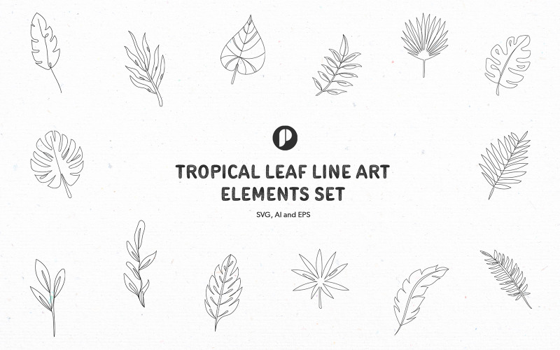 Tropical Leaf Line Art Elements Set Illustration