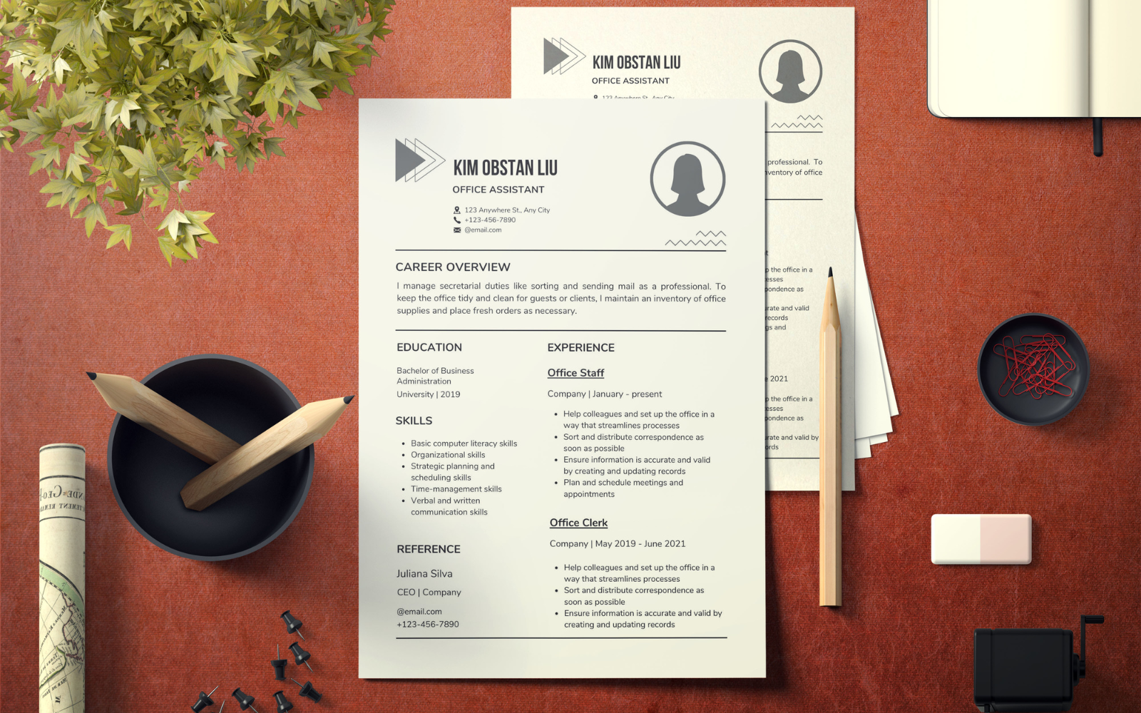 Clean and simple cv resume