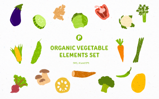 Organic Vegetable Elements Set