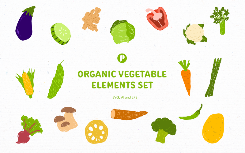 Organic Vegetable Elements Set Illustration