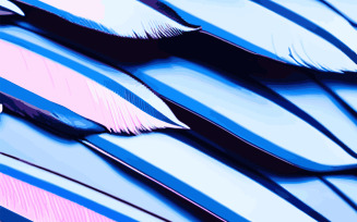Pastel colour feather abstract background. Close up