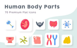 Human body Parts and Organs Flat Icons