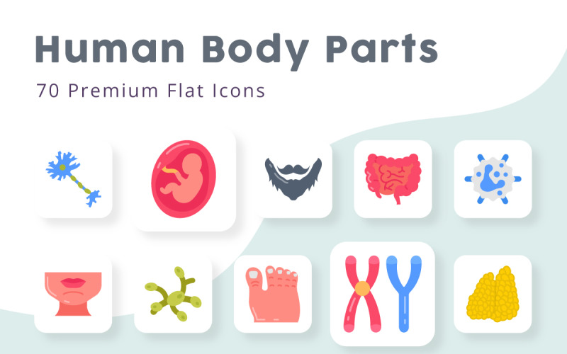 Human body Parts and Organs Flat Icons Icon Set