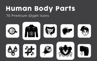 Human body Parts and Organs Glyph Icons
