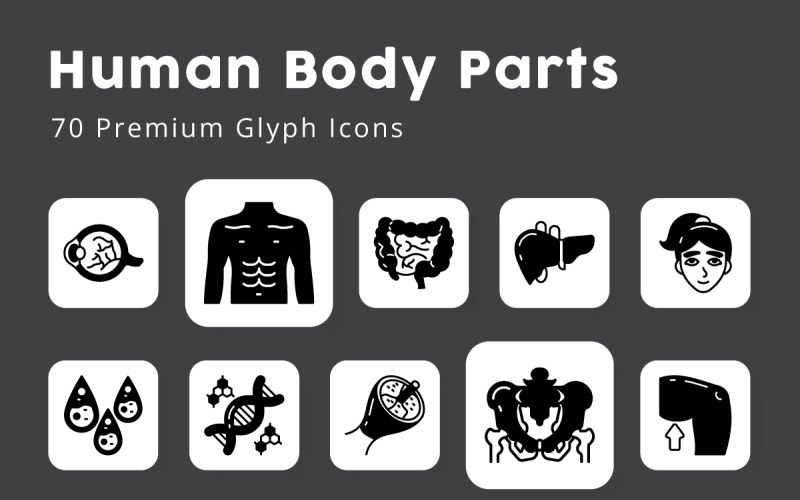 Human body Parts and Organs Glyph Icons Icon Set