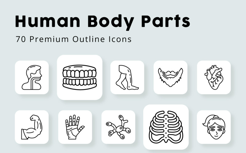 Human body Parts and Organs Outline Icons Icon Set