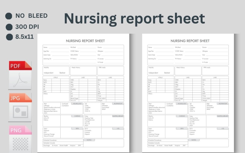 Nurse Sheet Report, Nurse Cassie’s Edit, Single Patient Log Medication, Day or Night Shift Planner