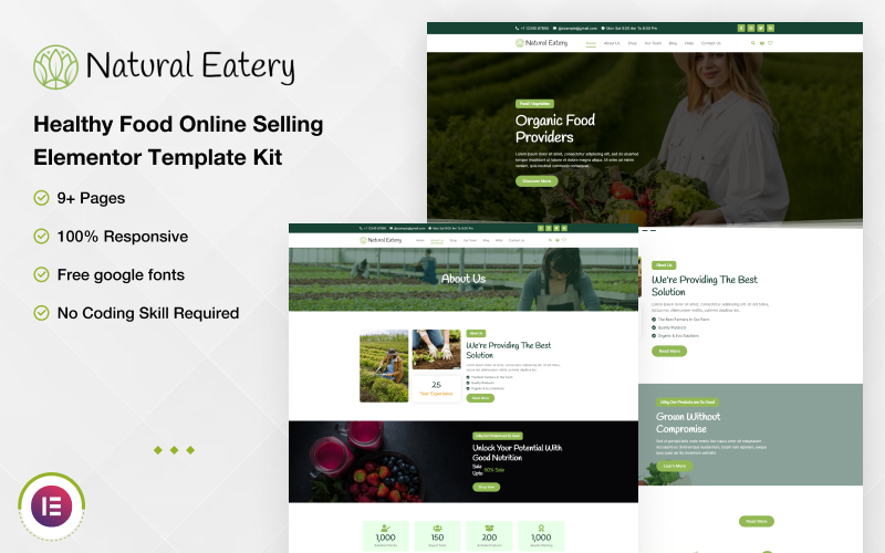 Natural Eatery - Healthy Food Online Selling Elementor Template Kit Elementor Kit