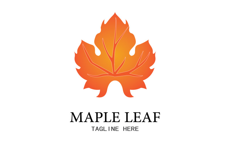 Leaf Mapple vector logo icon v11 Logo Template
