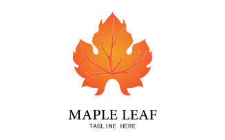 Leaf Mapple vector logo icon v11