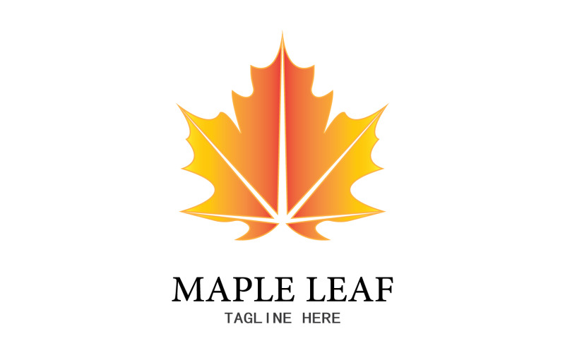 Leaf Mapple vector logo icon v12 Logo Template