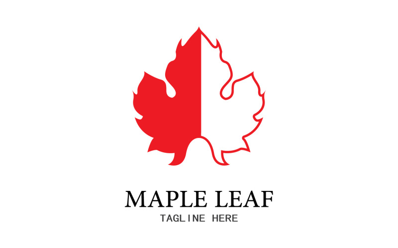 Leaf Mapple vector logo icon v13 Logo Template