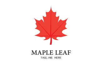 Leaf Mapple vector logo icon v14