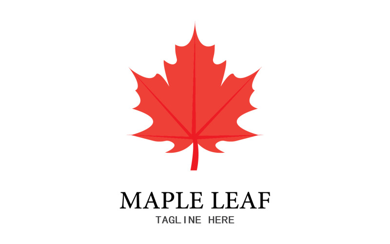 Leaf Mapple vector logo icon v14 Logo Template