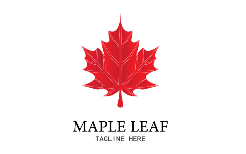 Leaf Mapple vector logo icon v15 Logo Template