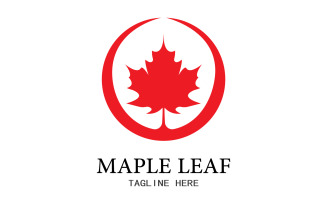 Leaf Mapple vector logo icon v17