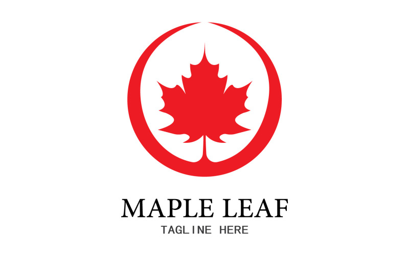 Leaf Mapple vector logo icon v17 Logo Template