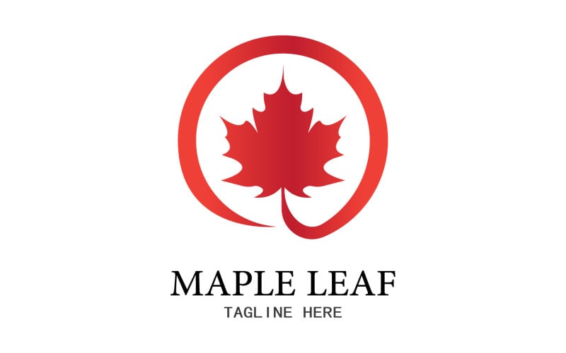 Leaf Mapple vector logo icon v18 Logo Template