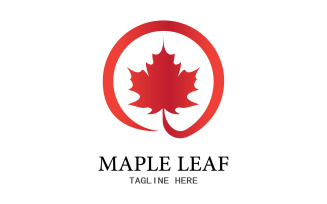 Leaf Mapple vector logo icon v18