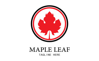 Leaf Mapple vector logo icon v19