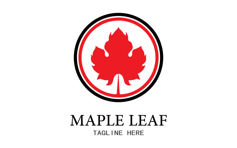 Leaf Mapple vector logo icon v19 Logo Template
