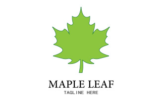 Leaf Mapple vector logo icon v1