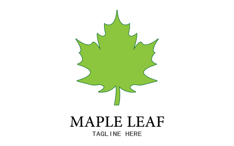 Leaf Mapple vector logo icon v1 Logo Template