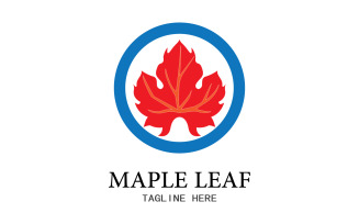 Leaf Mapple vector logo icon v20