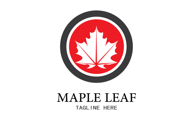 Leaf Mapple vector logo icon v21 Logo Template