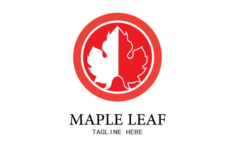Leaf Mapple vector logo icon v22 Logo Template