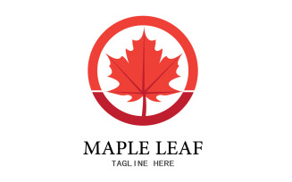 Leaf Mapple vector logo icon v23
