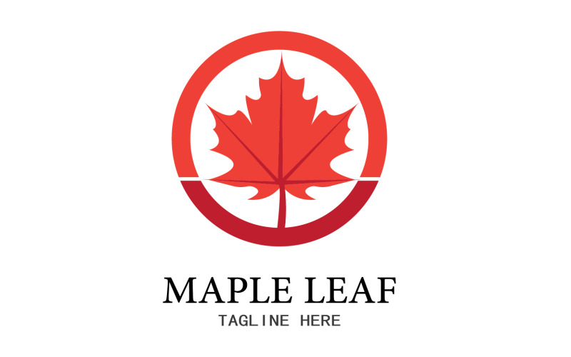 Leaf Mapple vector logo icon v23 Logo Template