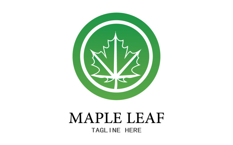 Leaf Mapple vector logo icon v24 Logo Template