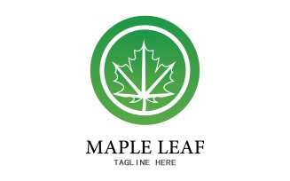 Leaf Mapple vector logo icon v24