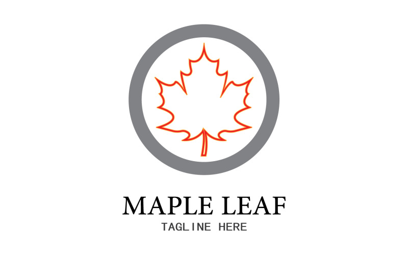 Leaf Mapple vector logo icon v25 Logo Template