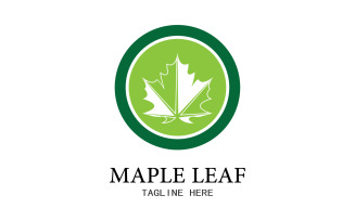 Leaf Mapple vector logo icon v26
