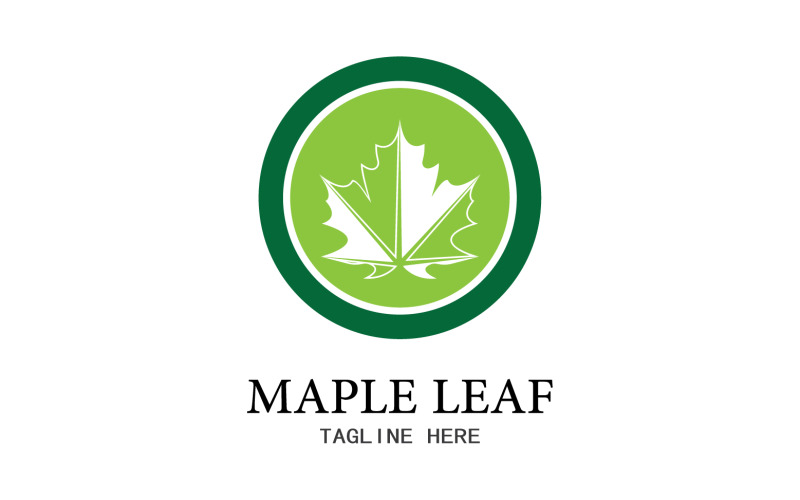 Leaf Mapple vector logo icon v26 Logo Template