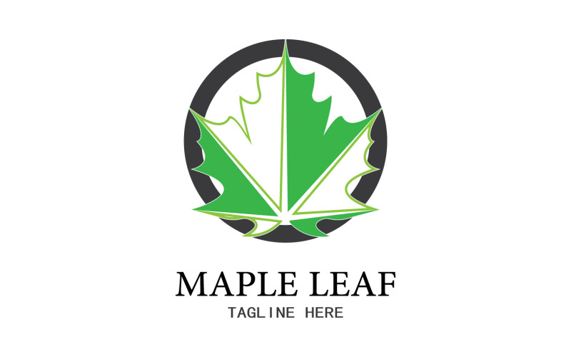 Leaf Mapple vector logo icon v27 Logo Template