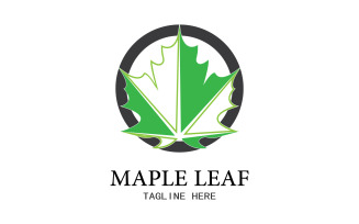 Leaf Mapple vector logo icon v27