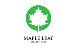 Leaf Mapple vector logo icon v28