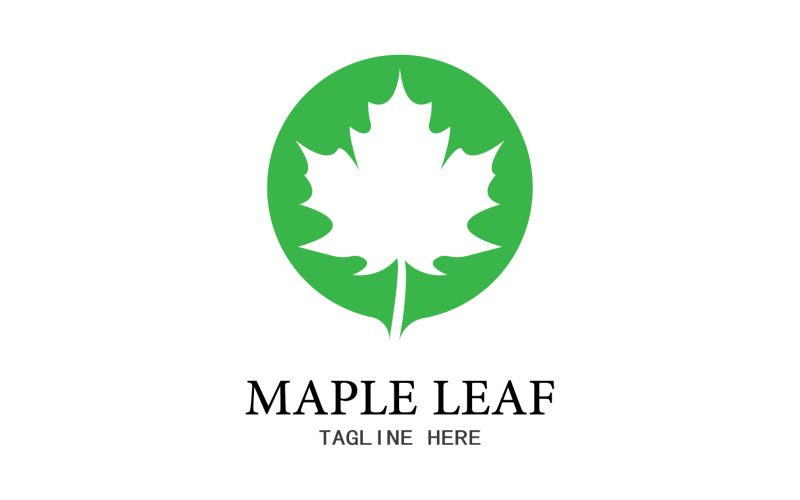 Leaf Mapple vector logo icon v28 Logo Template
