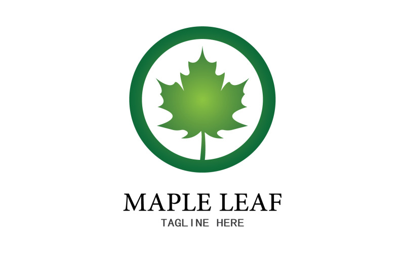 Leaf Mapple vector logo icon v29 Logo Template