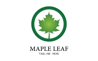 Leaf Mapple vector logo icon v29