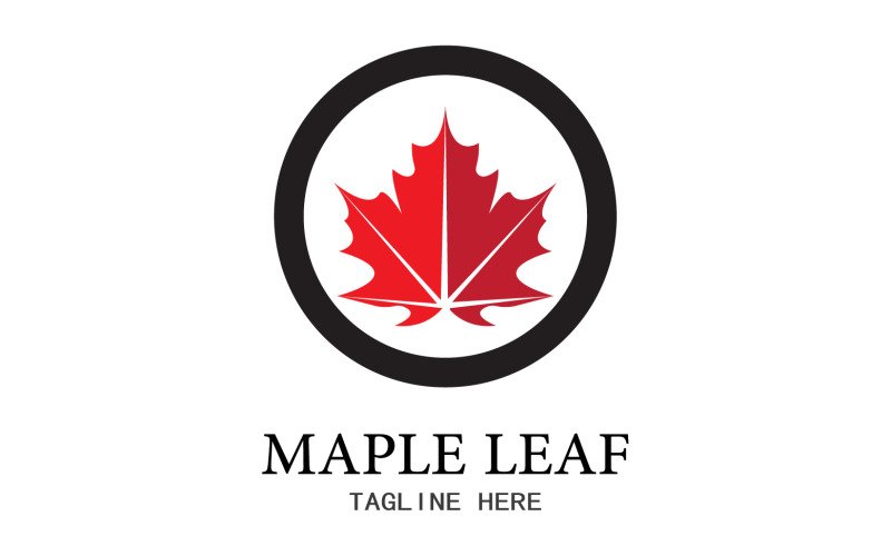 Leaf Mapple vector logo icon v30 Logo Template