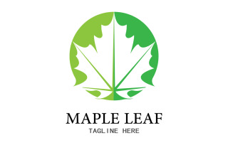 Leaf Mapple vector logo icon v31