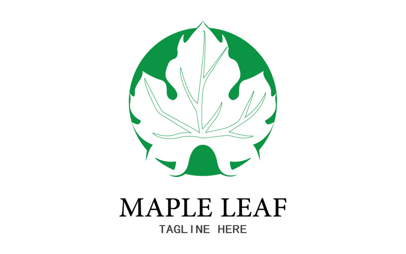 Leaf Mapple vector logo icon v32 Logo Template