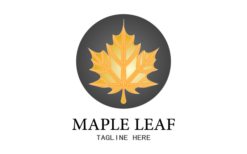 Leaf Mapple vector logo icon v33 Logo Template