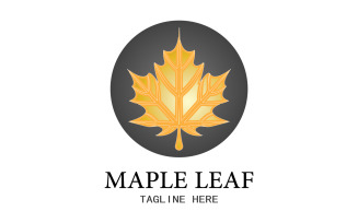 Leaf Mapple vector logo icon v33