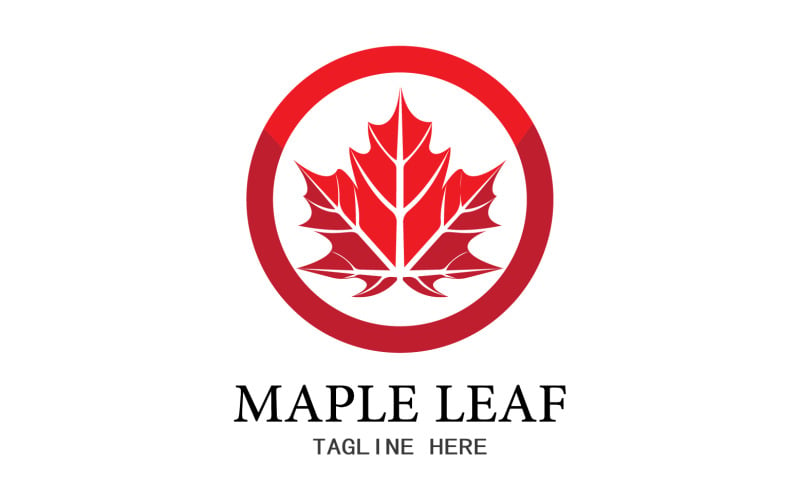 Leaf Mapple vector logo icon v34 Logo Template